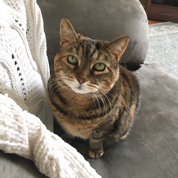 Hey all! :) - Picture 4 of 4